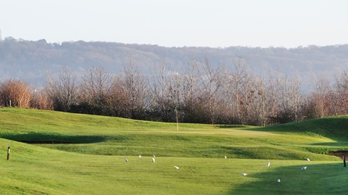 View of 12th Green from the Tee
