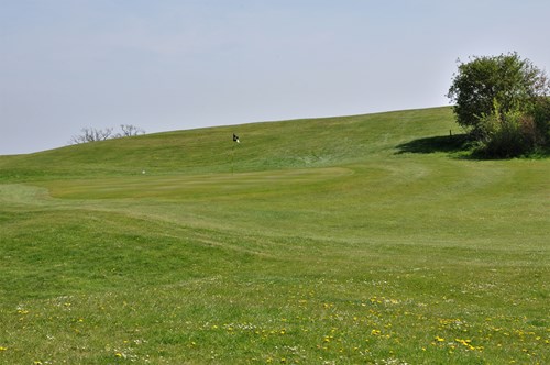 Approach to the Par 3 8th Green